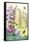 Hollyhocks-Jennifer Zsolt-Framed Stretched Canvas