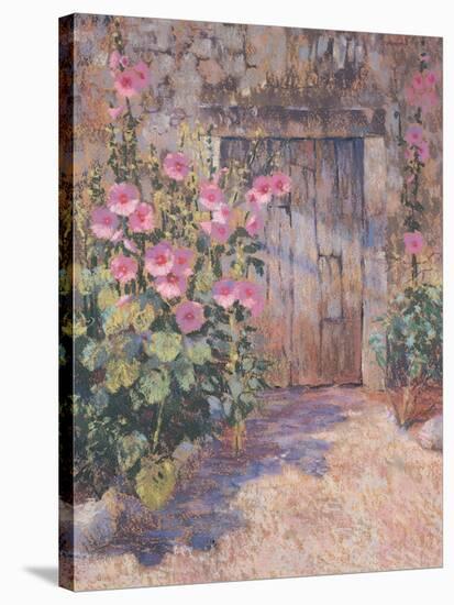 Hollyhocks-unknown Simmonds-Stretched Canvas