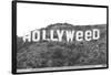 Hollyweed-null-Framed Poster