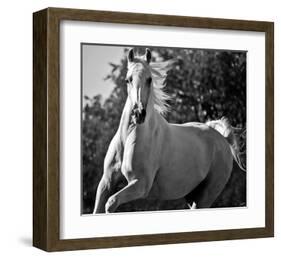 Hollywood (b & w)-Barry Hart-Framed Art Print