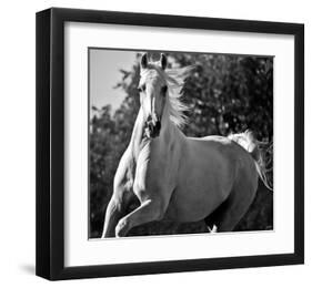 Hollywood (b & w)-Barry Hart-Framed Art Print