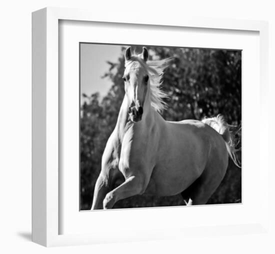 Hollywood (b & w)-Barry Hart-Framed Art Print