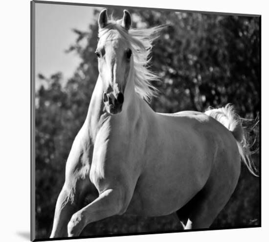 Hollywood (b & w)-Barry Hart-Mounted Art Print