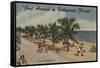 Hollywood Beach, Florida - View of Beach-Lantern Press-Framed Stretched Canvas