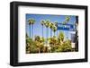 Hollywood Boulevard-null-Framed Art Print