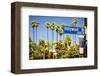 Hollywood Boulevard-null-Framed Art Print