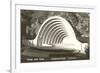 Hollywood Bowl, Los Angeles, California-null-Framed Premium Giclee Print