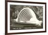 Hollywood Bowl, Los Angeles, California-null-Framed Premium Giclee Print