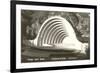 Hollywood Bowl, Los Angeles, California-null-Framed Premium Giclee Print