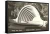 Hollywood Bowl, Los Angeles, California-null-Framed Stretched Canvas