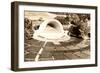 Hollywood Bowl, Los Angeles, California-null-Framed Premium Giclee Print