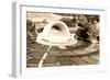 Hollywood Bowl, Los Angeles, California-null-Framed Premium Giclee Print