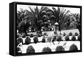 Hollywood, California - Bernheimer Residence, Man on Water Buffalo Photo-Lantern Press-Framed Stretched Canvas