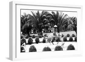 Hollywood, California - Bernheimer Residence, Man on Water Buffalo Photo-Lantern Press-Framed Art Print