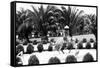 Hollywood, California - Bernheimer Residence, Man on Water Buffalo Photo-Lantern Press-Framed Stretched Canvas