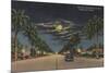 Hollywood, FL - Moonlight View over Hollywood Blvd.-Lantern Press-Mounted Art Print
