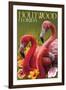 Hollywood, Florida - Flamingos-Lantern Press-Framed Art Print