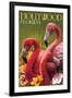 Hollywood, Florida - Flamingos-Lantern Press-Framed Art Print