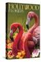 Hollywood, Florida - Flamingos-Lantern Press-Stretched Canvas