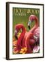 Hollywood, Florida - Flamingos-Lantern Press-Framed Art Print