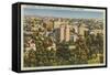 Hollywood from the Hills-null-Framed Stretched Canvas