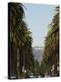 Hollywood Hills and the Hollywood Sign, Los Angeles, California, USA-Kober Christian-Stretched Canvas