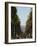 Hollywood Hills and the Hollywood Sign, Los Angeles, California, USA-Kober Christian-Framed Photographic Print