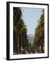 Hollywood Hills and the Hollywood Sign, Los Angeles, California, USA-Kober Christian-Framed Photographic Print