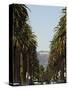 Hollywood Hills and the Hollywood Sign, Los Angeles, California, USA-Kober Christian-Stretched Canvas