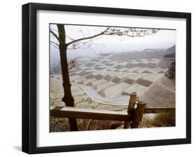 Hollywood Hills Leveled Plots of Land Ready for Private Homes, Los Angeles, California 1959-Ralph Crane-Framed Photographic Print