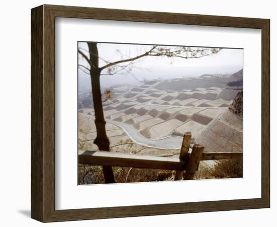 Hollywood Hills Leveled Plots of Land Ready for Private Homes, Los Angeles, California 1959-Ralph Crane-Framed Photographic Print