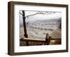 Hollywood Hills Leveled Plots of Land Ready for Private Homes, Los Angeles, California 1959-Ralph Crane-Framed Photographic Print