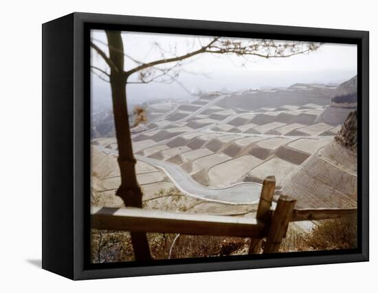 Hollywood Hills Leveled Plots of Land Ready for Private Homes, Los Angeles, California 1959-Ralph Crane-Framed Stretched Canvas