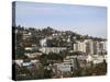 Hollywood Hills, Los Angeles, California, United States of America, North America-Wendy Connett-Stretched Canvas