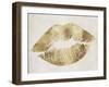 Hollywood Kiss Gold-null-Framed Giclee Print