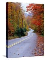 Hollywood Rd at Route 28, Adirondack Mountains, NY-Jim Schwabel-Stretched Canvas