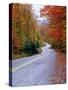 Hollywood Rd at Route 28, Adirondack Mountains, NY-Jim Schwabel-Stretched Canvas