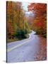 Hollywood Rd at Route 28, Adirondack Mountains, NY-Jim Schwabel-Stretched Canvas