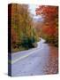 Hollywood Rd at Route 28, Adirondack Mountains, NY-Jim Schwabel-Stretched Canvas