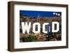 "Hollywood" sign on the hillsides of Hollywood, Los Angeles, California-null-Framed Photographic Print