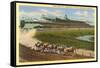 Hollywood Turf Club, Inglewood, California-null-Framed Stretched Canvas