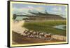 Hollywood Turf Club, Inglewood, California-null-Framed Stretched Canvas