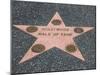 Hollywood Walk of Fame, Hollywood Boulevard, Los Angeles, California-Wendy Connett-Mounted Photographic Print