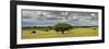 Holm Oaks in the Vast Plains of Alentejo, Portugal-Mauricio Abreu-Framed Premium Photographic Print