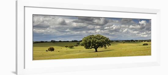 Holm Oaks in the Vast Plains of Alentejo, Portugal-Mauricio Abreu-Framed Photographic Print