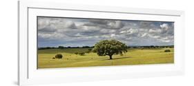 Holm Oaks in the Vast Plains of Alentejo, Portugal-Mauricio Abreu-Framed Photographic Print