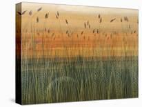 Golden Bayou-Holman-Stretched Canvas