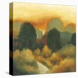 Golden Aspens-Holman-Stretched Canvas