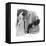 Holmes and Mrs. St. Clair-Sidney Paget-Framed Stretched Canvas