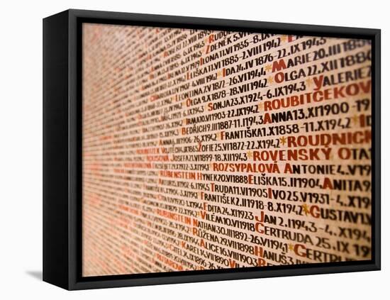 Holocaust-Bruno Abarco-Framed Stretched Canvas